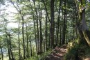 Du Ballon d'Alsace au Col de Tête Ronde
